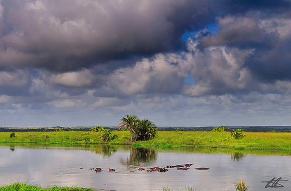 iZindondwe Pan St Lucia South Africa