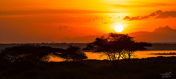 Serengetta Sunrise