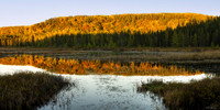 Fall Reflection